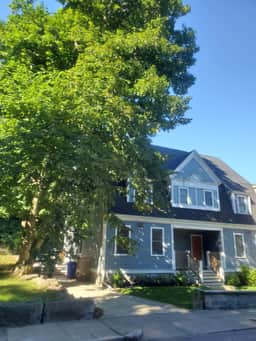 Park-Side Home in Jamaica Plain