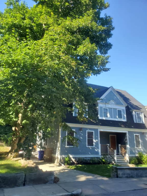 Park-Side Home in Jamaica Plain