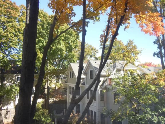 Harvard Square Home in Heart of Cambridge!